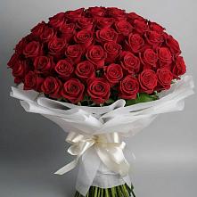 Букет 101 Красная роза Блэк Мэджик в Нурма