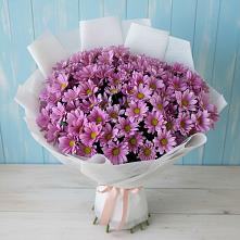 Букет цветов из:  Хризантемы #REPLACE_PRED# Нурма